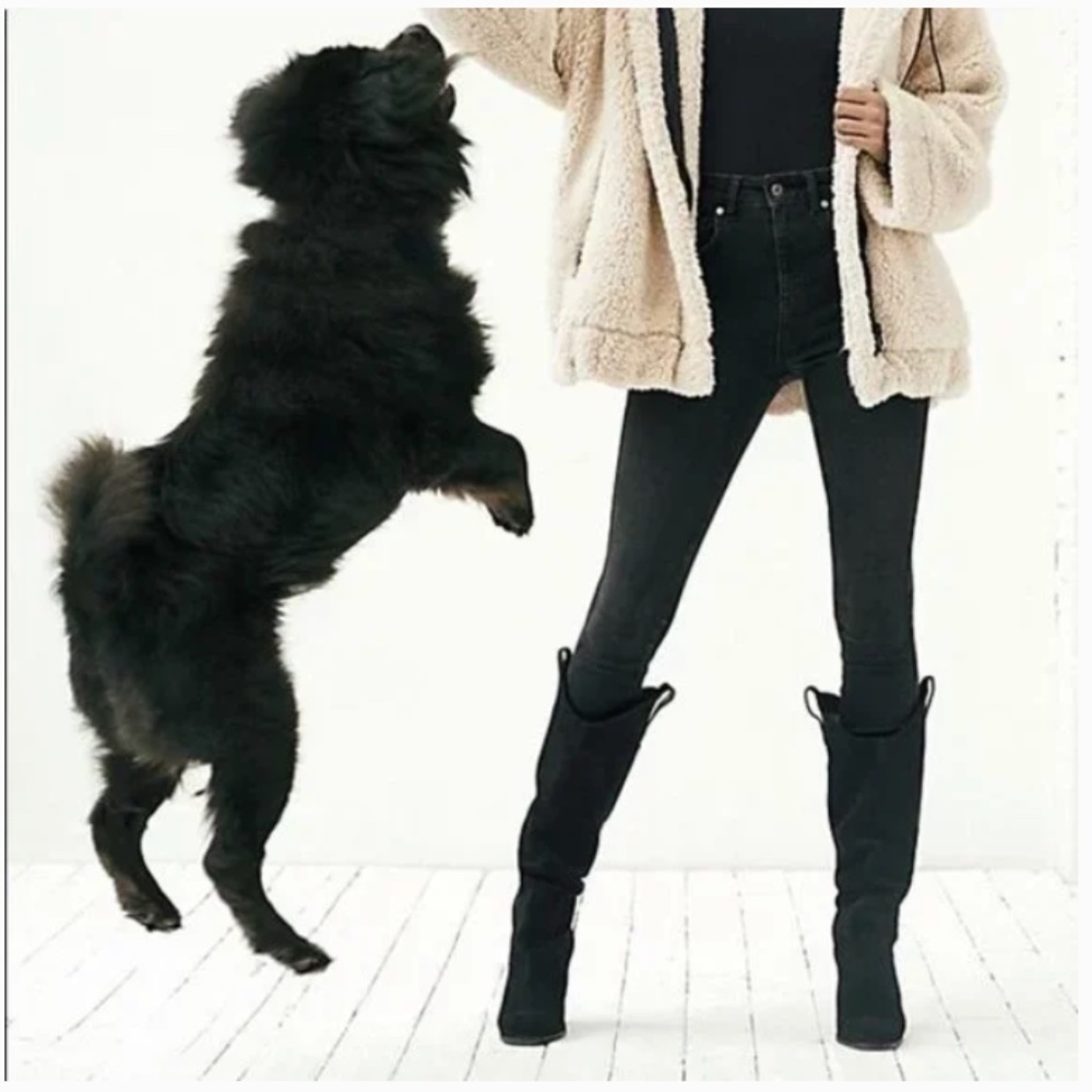 We the Free High Rise Jegging Jean Black 25 Free People FP